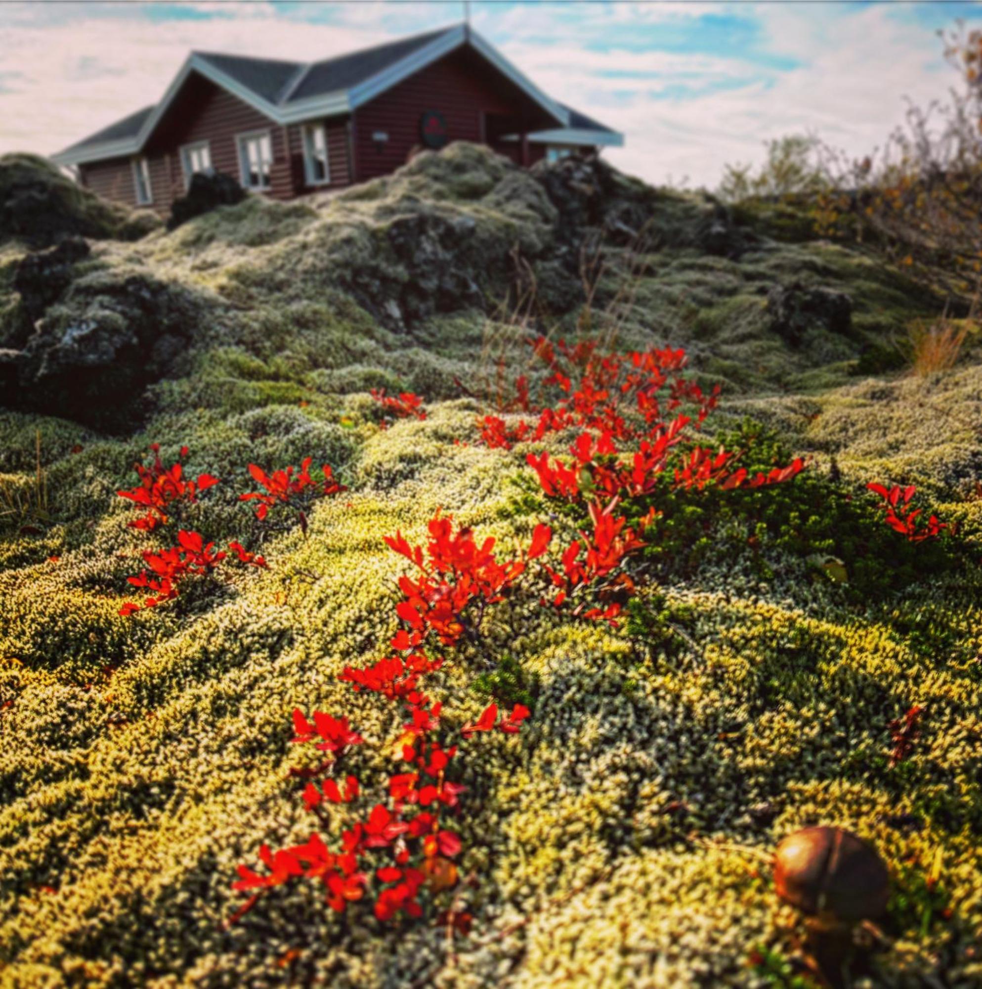 House In Lava Villa Bifrost Buitenkant foto