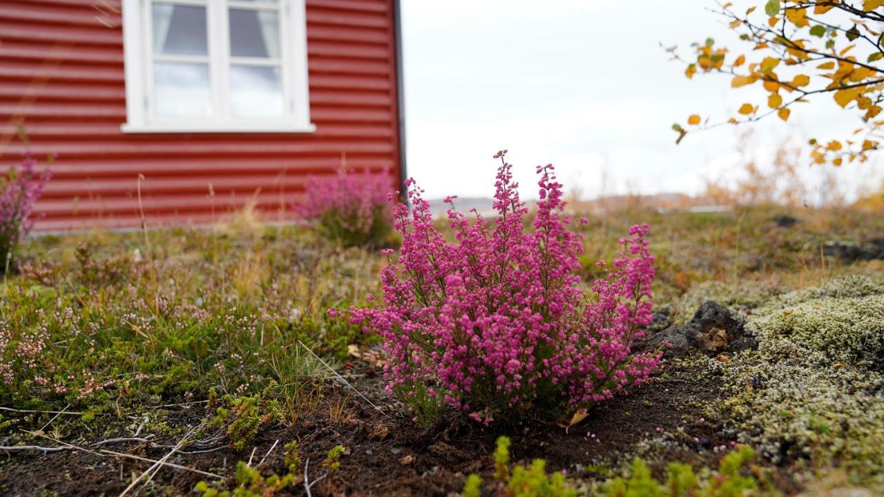 House In Lava Villa Bifrost Buitenkant foto